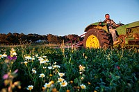A young farmer working in a field, during spring, in the outskirts of San Ferran. Formentera (Balearic Islands).