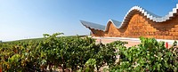 Ysios wine cellar at Laguardia, architecture by Santiago Calatrava, La Rioja, Spain