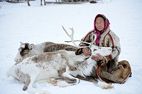 A tundra nenets woman with her ´´akva´´ pet reindeer (Rangifer tarandus), Yar-Sale district, Yamal, Northwest Siberia, Russia.