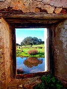 Window mill, Búrdalo river, miajadas, Cáceres, Extremadura, Spain
