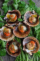 Scallops with chilli and garlic butter.
