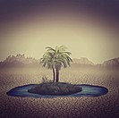 Oasis in the desert, abstract natural background