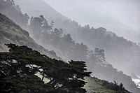 Fog rolls into the highlands along California´s Pacific Ocean Coast at Big Sur.