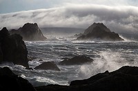 The rocky coastline at Point Lobos State Natural Reserve in Carmel, California.