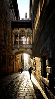 Spain, Catalonia, Barcelona, Barri Gotic (Barrio Gotico, Gothic Quarter), Carrer del Bisbe (Bishop´s street), neo-Gothic bridge Pont del Bisbe (Bishop...