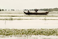 Father and son fishing with his small boat on the Mekong river, Cambodia