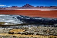 Spectacular Laguna Colorada, around the Uyuni Salt Flats, Bolivia