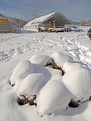 Winter snow covers an artisanal organic farm in Johnston, Rhode Island, USA.