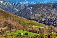 Cordillera Cantábrica. Picos de Europa National Park. Leon Province. Castilla y Leon. Spain.