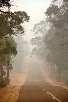 Smoke haze from 2006 bushfires in Gippsland, Victoria, Australia. This was the longest running bushfire in Australia´s History.