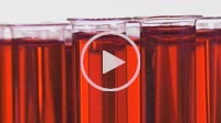 filled test tubes with red liquid on a turntable
