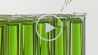 adding drops of liquid in a test tube filled with green liquid