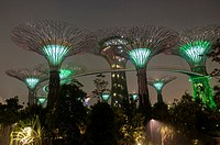 Supertrees at the Gardens by the Bay nature park, Singapore.