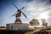 Windmill and vineyard near Montsoreau, Pays-de-la-Loire, France.