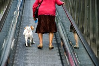 mature woman with dog on the leash on moving walkway connecting Old Town with the city, Vitoria-Gasteiz, Ãlava, Araba, Basque Country, Spain, Europe