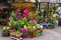 Flower shop, Nantes, Loire Atlantique, France