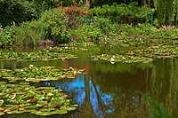 Monet´s garden, Claude Monet Foundation, Giverny, Les Andelys, Eure, Normandy, France.