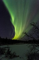 Northern light, aurora borealis, over forest with a frozen lake covered with snow, Gällivare, Swedish Lapland, Sweden.