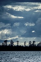 Lake and trees in silhouette at night with dramatic sky. Landscape in Sweden. Nature scene background in blue color tones.