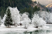 A frosty landscape in the Vallée du Beaufortain, Savoie, France, Europe.