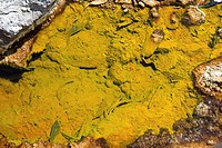 Rio Tinto acid waters from the Riotinto mines. This toxic waters contain heavy metals and extremophilic bacteria (Acidithiobacillus ferrooxidans and L...