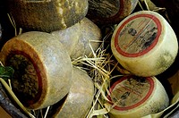 Pecorino di Castelluccio di Norcia, typical cheese, Castelluccio di Norcia, district of Perugia, Umbria, Italy, Europe.