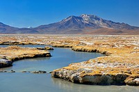 National Monument Salar de Surire. Norte Grande region. Chile