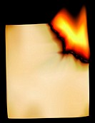 Editable vector illustration of flames burning a sheet of blank paper made with a gradient mesh
