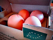 Organic eggs in a box, identified with the European organic label