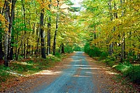 A country road in Prince Edward island, Canada in autumn.