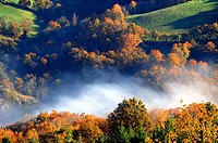 Colors of forests in autumn, Florentin-la-Capelle, North-Aveyron, Midi-Pyrénées, France.