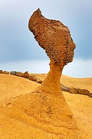 The Queen's Head rock formation at the Yehliu GeoPark, part of the Daliao Miaocene Formation in Wanli in Taiwan.