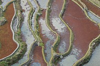 Aerial view of YuanYang rice teracces in Yunnan, China, with two farmers walking along the edge of the paddies.