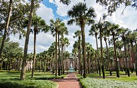 Deland Florida Stetson University fountain and Palm Court with palm trees peaceful in small town education,.