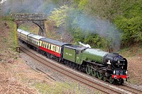 Steam train LNER Peppercorn Class A1 60163 Tornado. Cowran Cut, Cowran Cutting, Brampton, Newcastle & Carlisle Railway, N&CR, Cumbria, England, United...