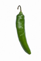 Serrano hot pepper (Capsicum annuum Serrano). Image of single pepper on white background.