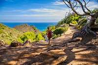 Cami de Cavalls path. Way to Cala Pilar Beach. Ciutadella de Menorca Municipality. Minorca. Balearic Islands. Spain
