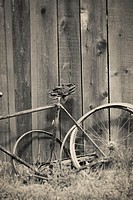 Old broken vintage bicycle and wooden wall. Rural still life.