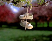 little child´s shoes hanging on tree