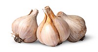 Three bulbs of garlic beside isolated on white background.