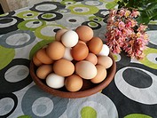 Bowl of free range eggs.