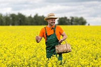 A farmer in a mustard field.