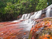 Quebrada de Jaspe, Bolívar, Gran Sabana, Venezuela, South America River, red Jaspis, water surface, Leaf, drives South America, Bolivar Canaima Nation...