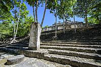 Stelae and structure at Mayan city of Calakmul, Calakmul Biosphere Reserve, Campeche, Mexico.
