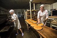Workers of the Nikitin Kolkhoz bakery prepare bread, Ivanovka village, Azerbaijan. Bakery makes bread for local people. Children from school and kinde...