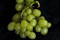 Green seedless grapes against a black background.