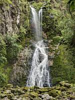 Paranui Falls, also known as Pukenui Falls, is located at A. H. Reed Memorial Park, Whangarei. Northland, New Zealand.
