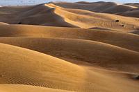 Wahiba Sands desert, Oman.