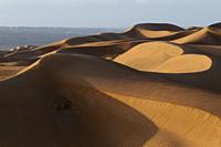 Wahiba Sands desert, Oman.