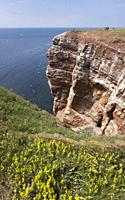 Helgoland German island with red sandstone cliffs, Germany